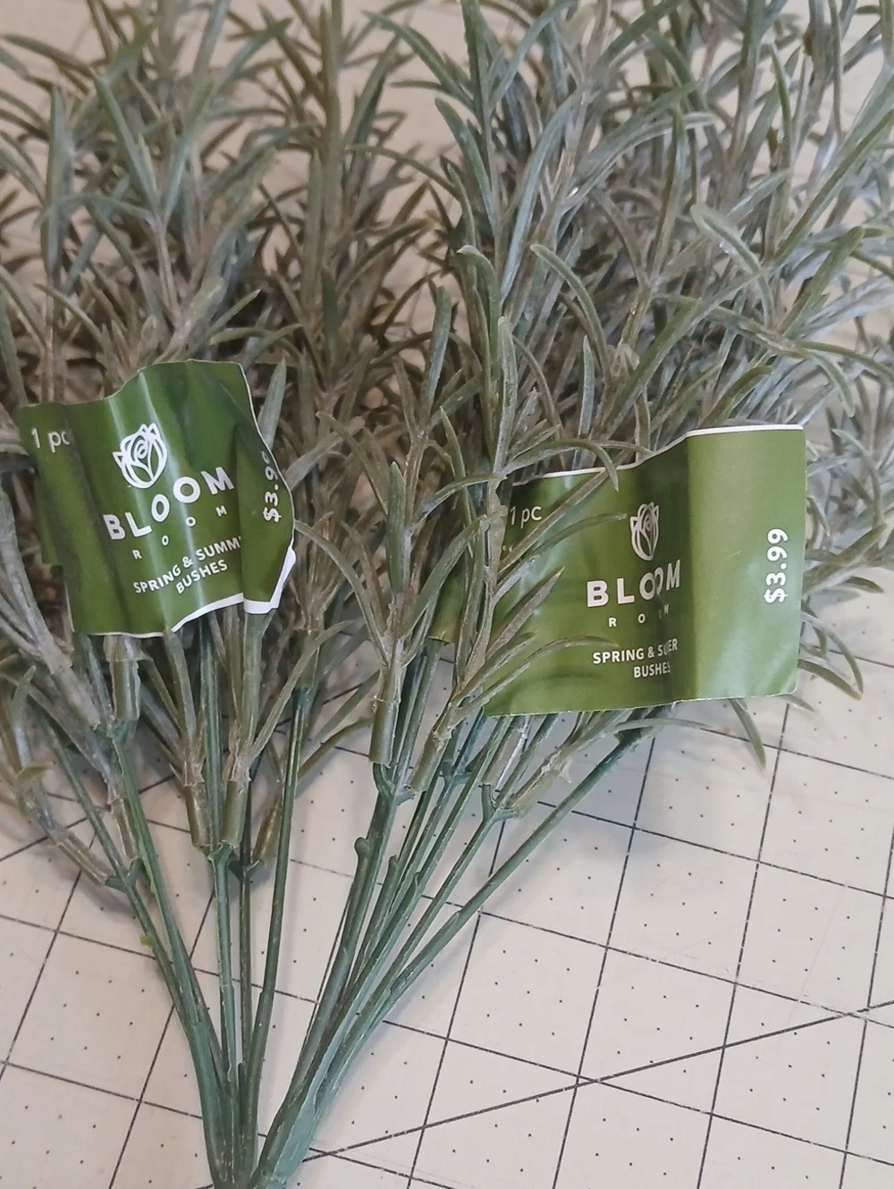 bloom set includes